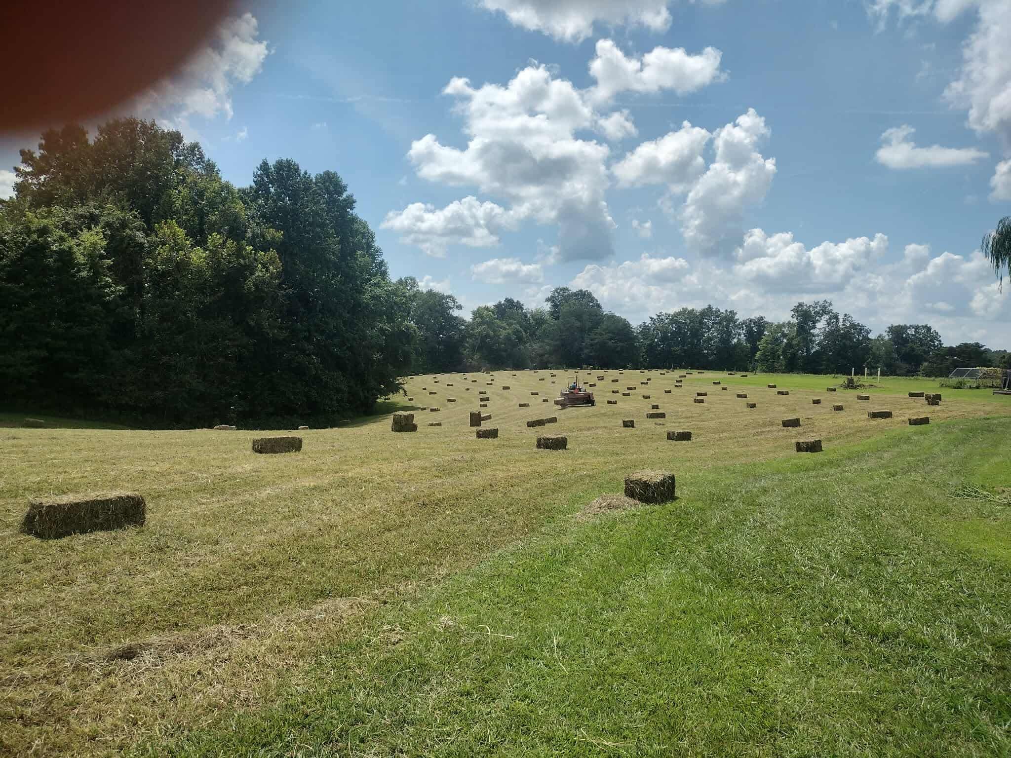 Hay field with rectangular bales and a tractor in the distance