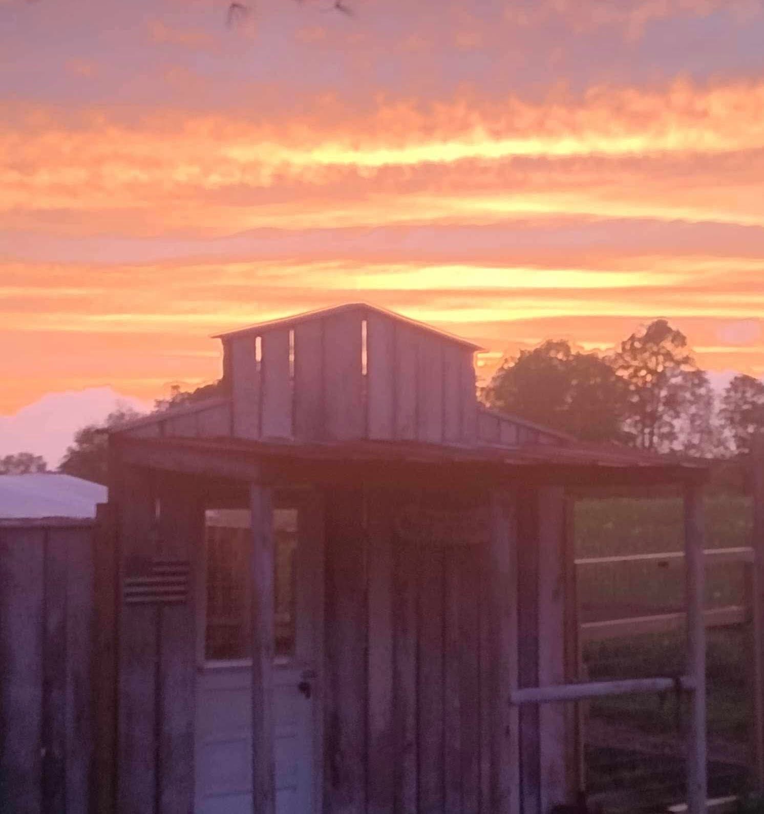 Weathered wooden shed silhouetted against a Kentucky sunset