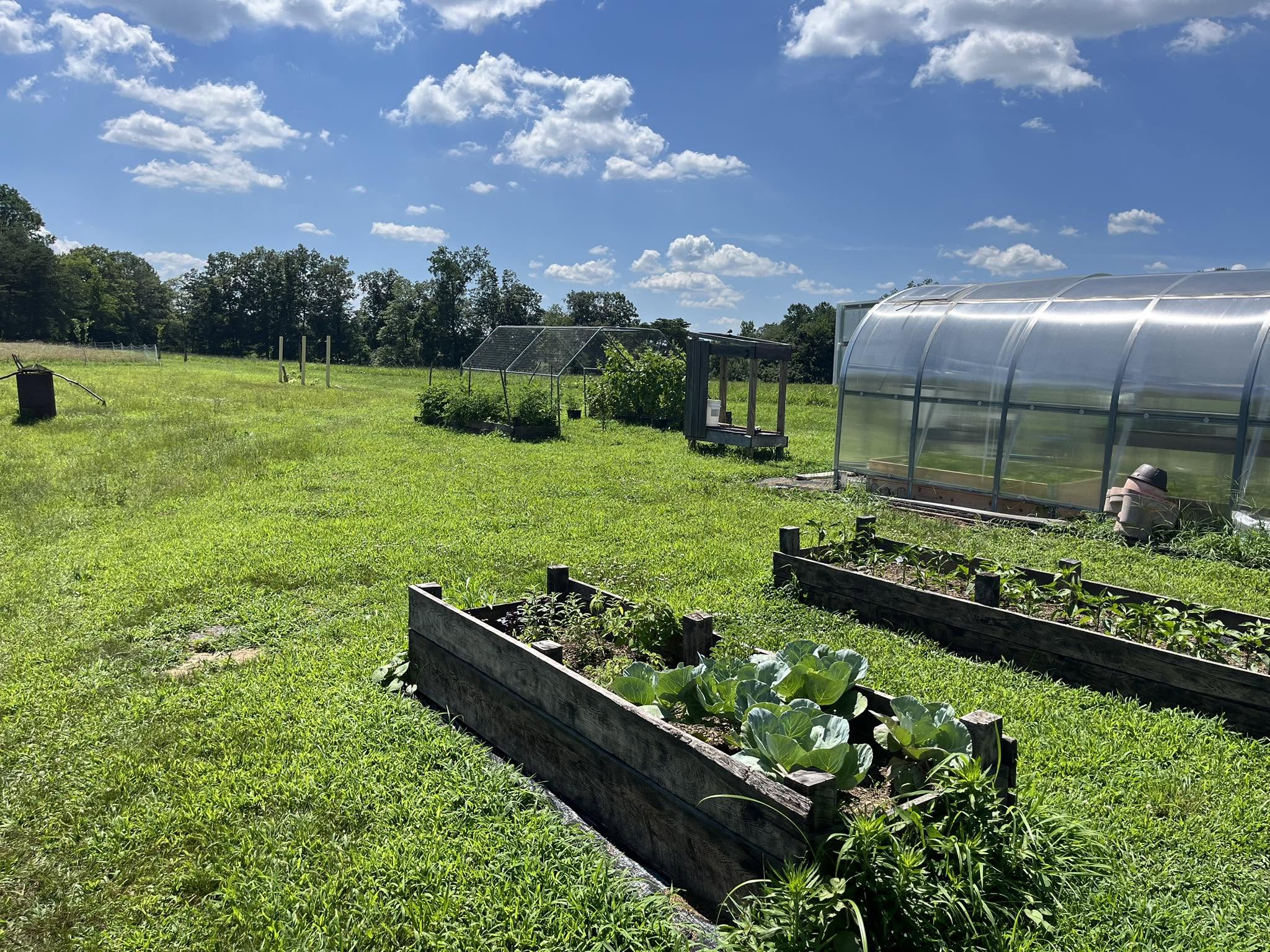 Raised garden beds and a hoop house on the farm